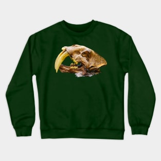 Side view of Saber Toothed Tiger Skull Crewneck Sweatshirt